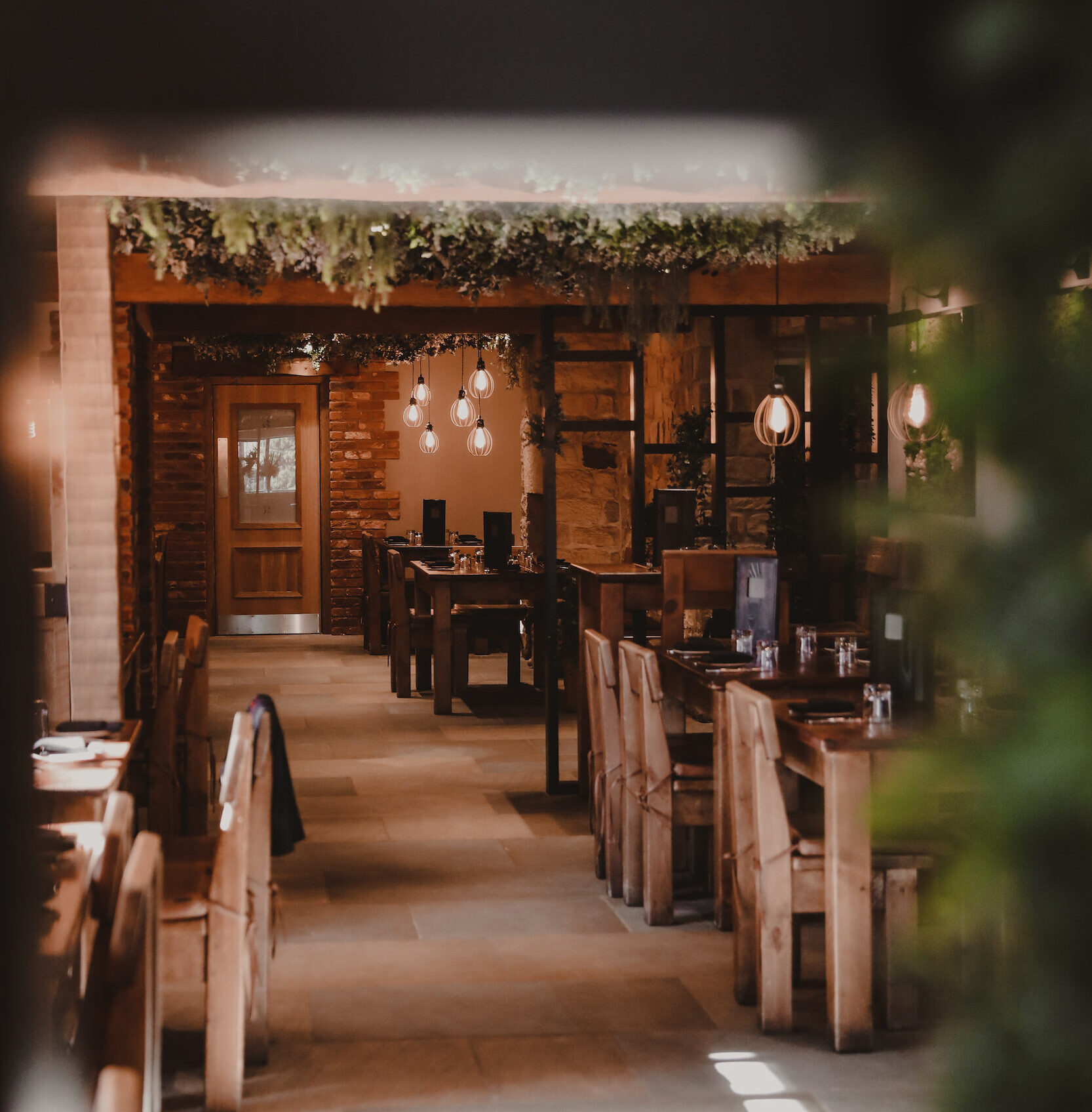 long restaurant with greenery around and large wooden chairs